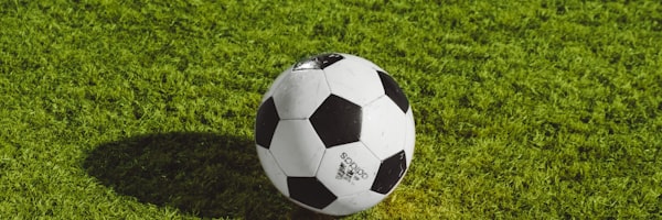 阿根廷国家足球队庆祝进球照片 - 蓝白条纹球衣